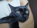 Jordi (2)